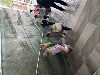 IMG_0136.jpeg