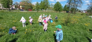 IMG_20250506_111956
