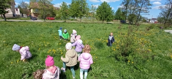 IMG_20250506_111951