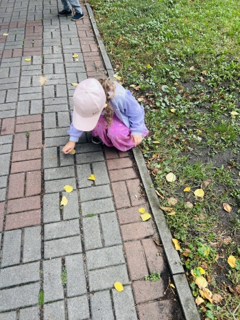 IMG_2700.jpeg