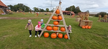 IMG_20251006_114846