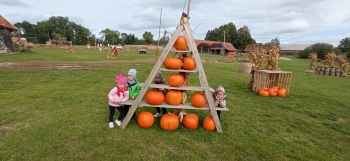 IMG_20251006_114843