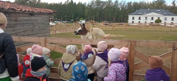 IMG_20251006_112837