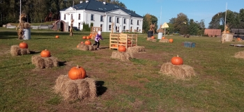 IMG_20251006_104305