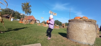 IMG_20251006_102839