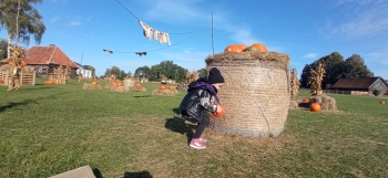 IMG_20251006_102737