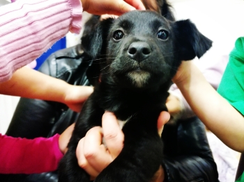 IMG_20251202_101519_edit_18203507889409