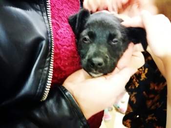 IMG_20251202_101920_edit_18155116618062