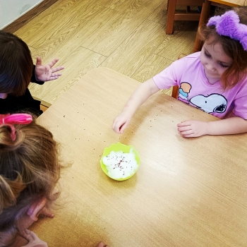 Messenger_creation_13176F33-7CA3-4DB7-9C2C-5B5F11BBCCE7_edit_459421904475207