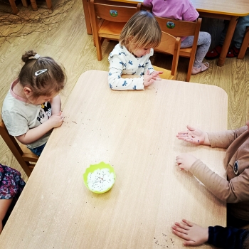 Messenger_creation_A2F0888B-561E-41CF-911B-E1026B30B142_edit_459408337739793