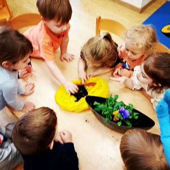 Messenger_creation_1C5E7E5E-384C-464D-868C-1927FFF7C62F_edit_459393475768962