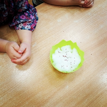 Messenger_creation_BFFA006D-7406-448C-B917-A322227E5683_edit_459400779262190