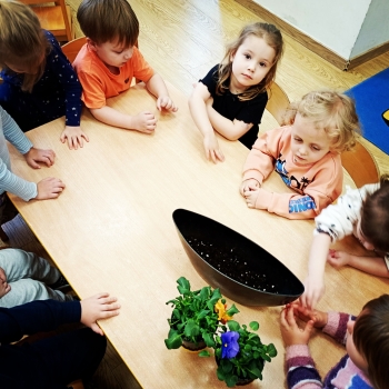 Messenger_creation_5F64E139-8244-4BC4-9732-979DD9B6D7AB_edit_459383844067921