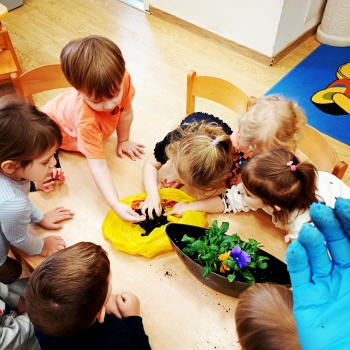 Messenger_creation_9BE8CC43-22BD-4566-AD87-1D77580179CA_edit_459376402433027