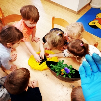 Messenger_creation_B787ED08-D536-4F7E-8D74-B0C7822B7542_edit_459368957198653