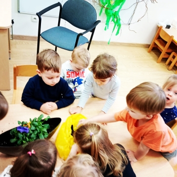 Messenger_creation_F5D2C689-9E35-4ED3-BDE9-312333FE2C08_edit_459360577460112