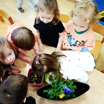 Messenger_creation_326D6C00-AC3F-4F26-A046-3954F814C906_edit_459353395980947