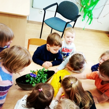 Messenger_creation_CFF23A10-C747-4F3B-BDB4-DE44B4B805AA_edit_459345915286677