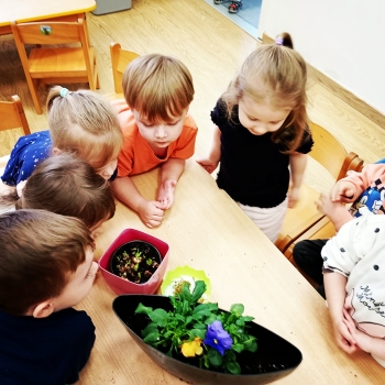 Messenger_creation_E9EB2130-ED90-4FF2-8BE9-A76EB5936965_edit_459337827144491