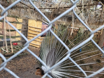 20260617_112327