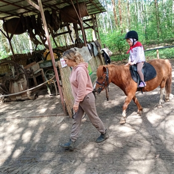 Messenger_creation_B06A4439-9537-418F-A133-0397D260D1BF.jpeg