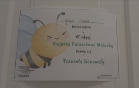 Paluszkowe Maluchy - projekt realizowany przez Sówki , moduł II 